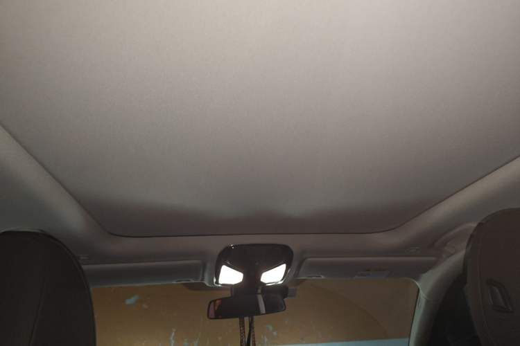 Used BMW 3 Series 2021 Facelifted 320Li M Sport Package Headliner