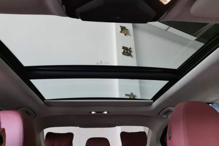 Used BMW 3 Series 2021 Second Facelift 325Li M Sport Package Headliner