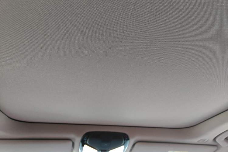 Used BMW 3 Series 2021 320Li M Sport Package Headliner