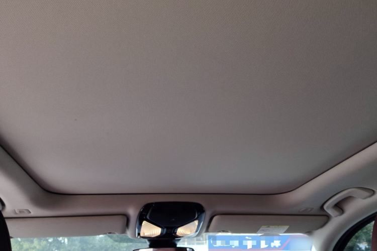 Used BMW 3 Series 2021 Second Facelift 325Li M Sport Package Headliner