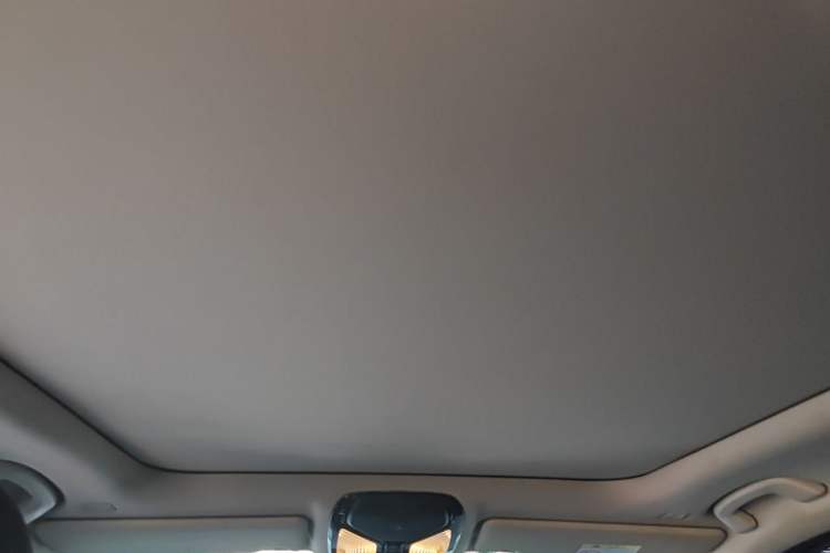 Used BMW 3 Series 2021 Facelifted 320Li M Sport Package Headliner