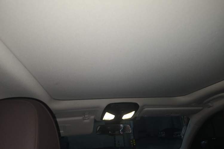 Used BMW 3 Series 2021 Second Facelift 325Li M Sport Package Headliner