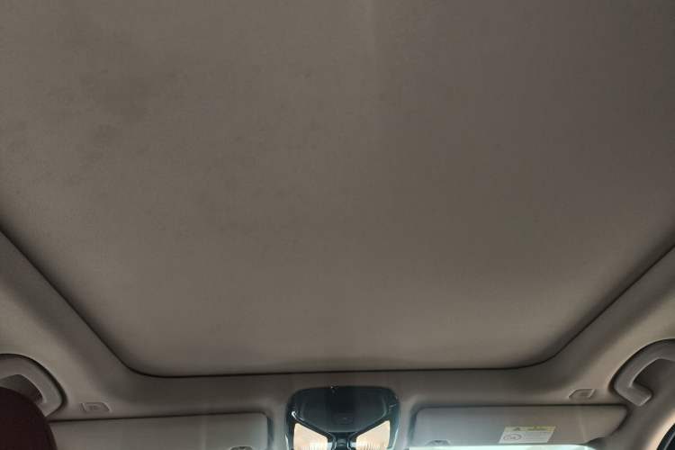 Used BMW 3 Series 2021 Facelifted 325Li M Sport Night Edition Package Headliner