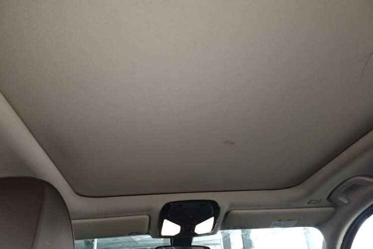 Used BMW 3 Series 2021 320Li M Sport Package Headliner