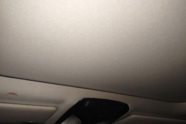 Used BMW 3 Series 2021 Facelifted 320Li M Sport Package Headliner
