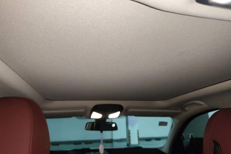 Used BMW 3 Series 2021 320Li M Sport Package Headliner
