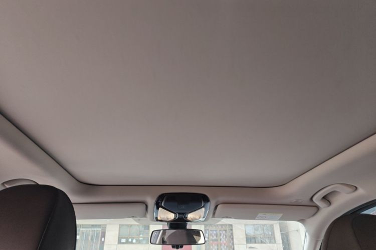 Used BMW 3 Series 2021 Facelifted 320Li M Sport Package Headliner