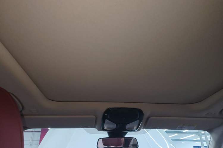 Used BMW 3 Series 2021 Second Facelift 325Li M Sport Package Headliner