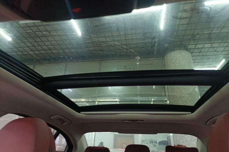 Used BMW 3 Series 2021 Facelifted 320Li M Sport Package Headliner