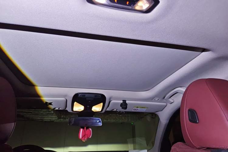 Used BMW 3 Series 2021 320i Sport Package Headliner