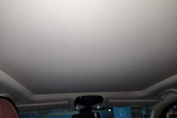 Used BMW 3 Series 2021 Second Facelift 325Li M Sport Package Headliner