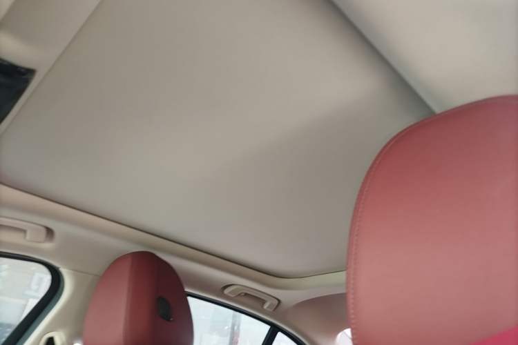Used BMW 3 Series 2021 Facelifted 320Li M Sport Package Headliner