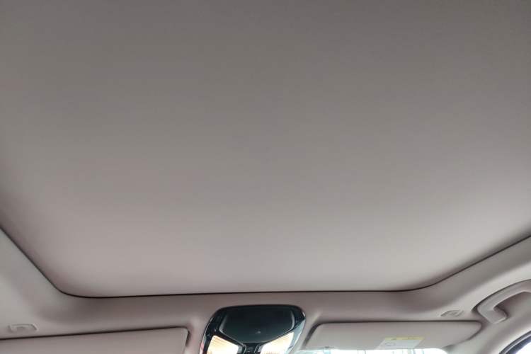 Used BMW 3 Series 2021 Second Facelift 325Li M Sport Package Headliner