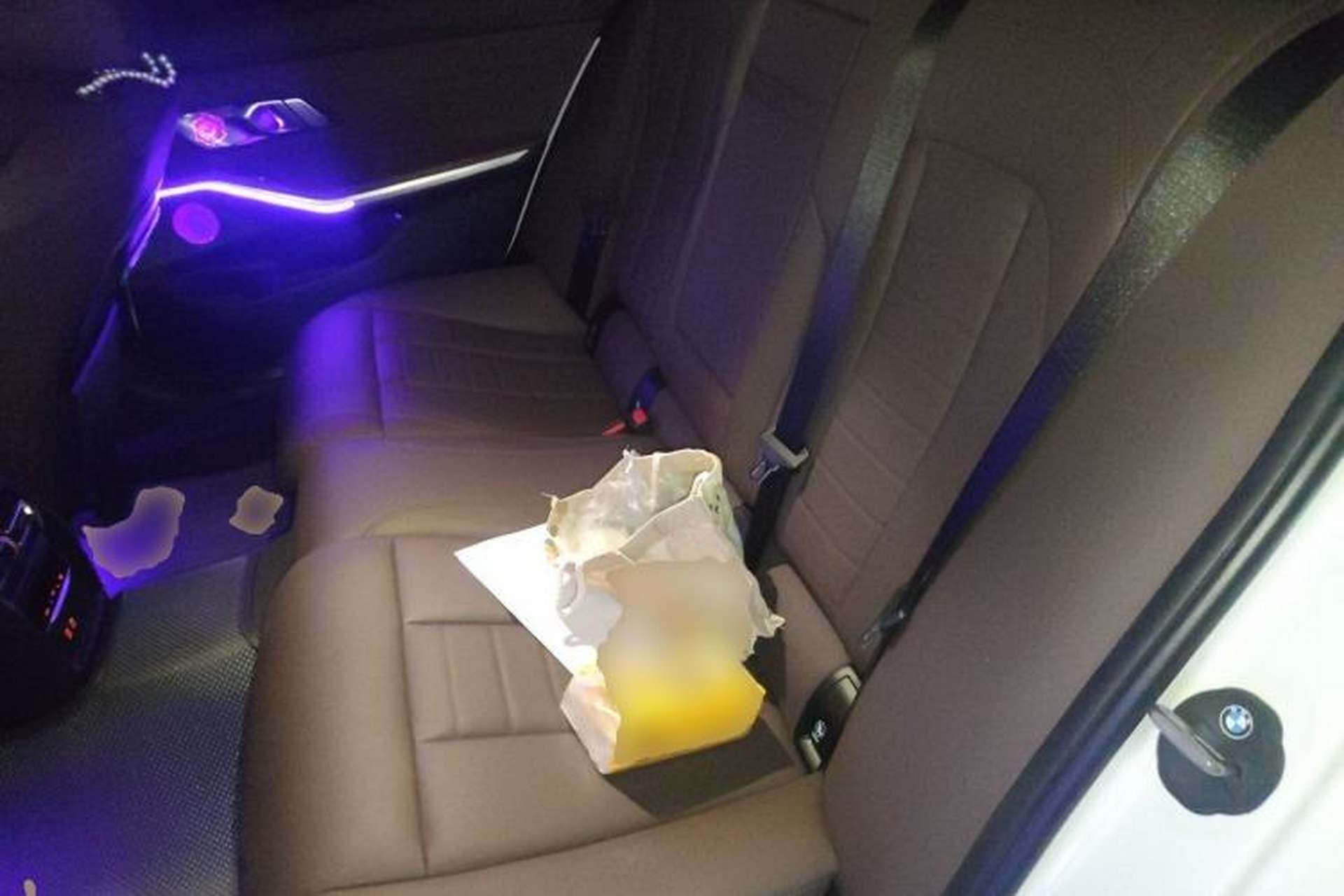 Used BMW 3 Series 2021 320Li M Sport Package Left Rear Seat