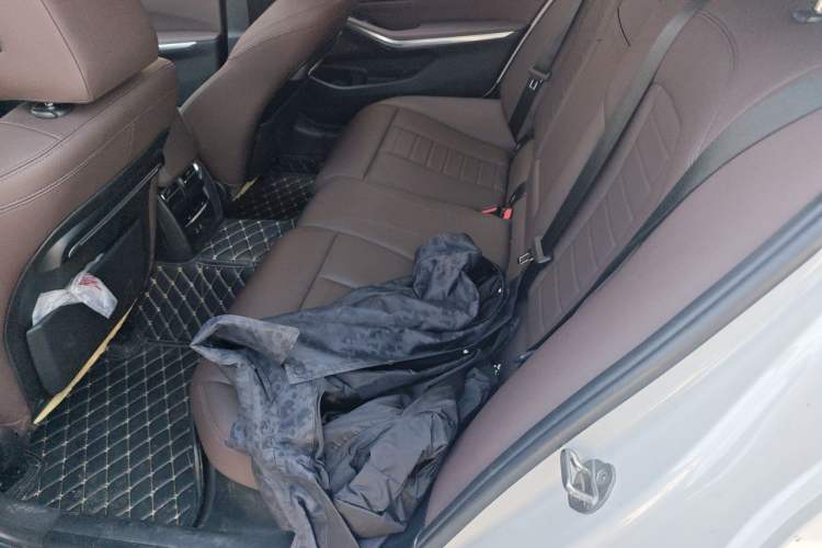 Used BMW 3 Series 2021 Second Facelift 320Li M Sport Package Left Rear Seat