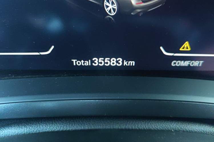 Used BMW 3 Series 2021 Facelifted 320Li M Sport Package Odometer Close Up