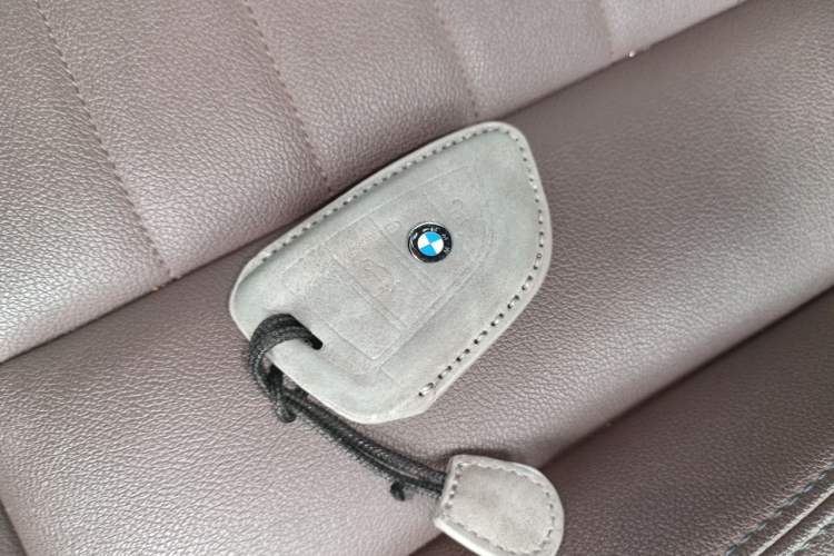 Used BMW 3 Series 2021 Facelifted 320Li M Sport Package Vehicle Key