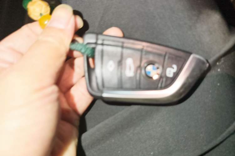 Used BMW 3 Series 2021 Facelifted 320Li M Sport Package Vehicle Key