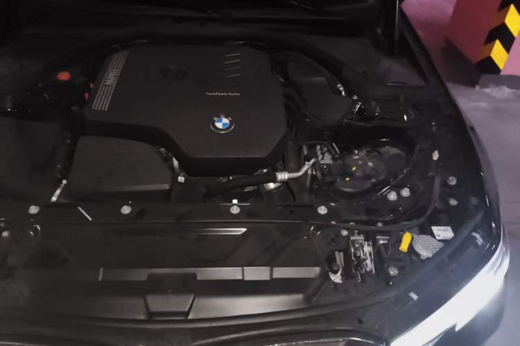 Used BMW 3 Series 2022 320Li M Sport Package Engine Bay Left