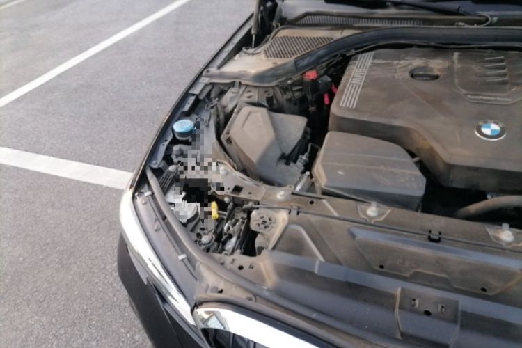 Used BMW 3 Series 2022 Updated 325Li M Sport Package Engine Bay Right