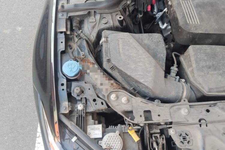 Used BMW 3 Series 2022 325Li M Sport Package Engine Bay Right