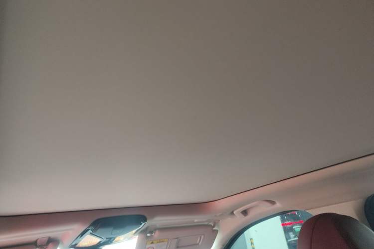 Used BMW 3 Series 2022 325Li M Sport Night Edition Package Headliner