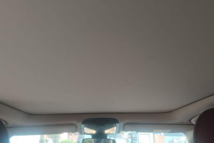 Used BMW 3 Series 2022 325Li M Sport Package Headliner