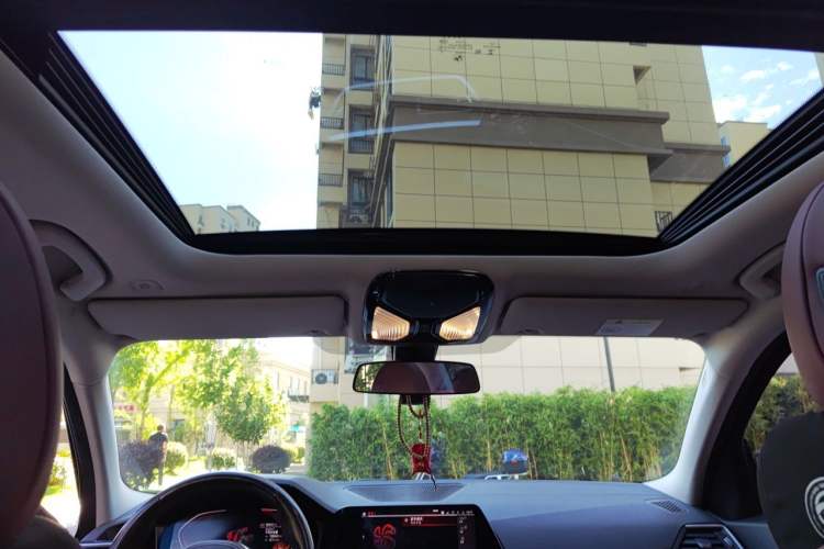 Used BMW 3 Series 2022 320Li M Sport Package Headliner