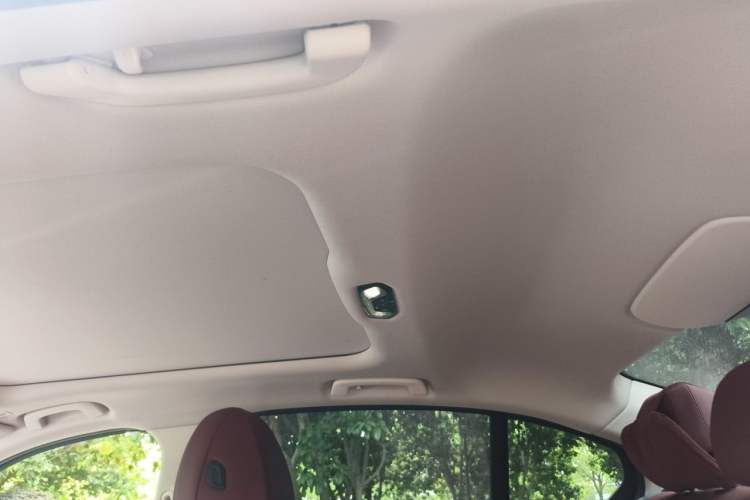 Used BMW 3 Series 2022 Restyled 320Li M Sport Package Headliner