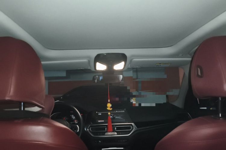 Used BMW 3 Series 2022 320Li M Sport Package Headliner