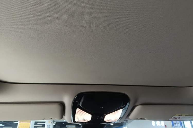 Used BMW 3 Series 2022 325Li M Sport Package Headliner