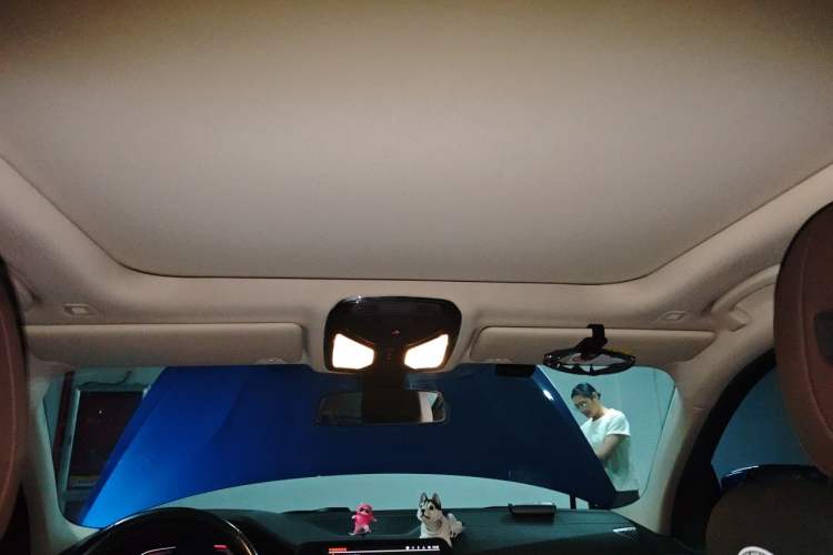 Used BMW 3 Series 2022 320Li M Sport Package Headliner