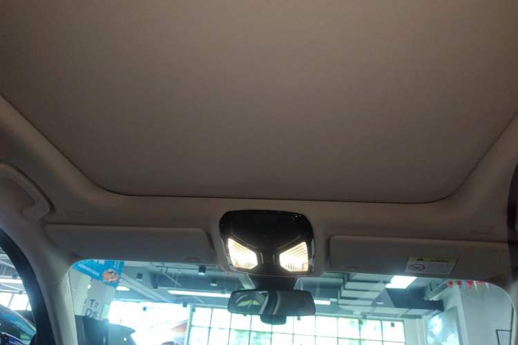 Used BMW 3 Series 2022 325Li M Sport Package Headliner
