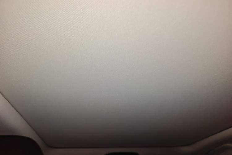 Used BMW 3 Series 2022 325Li M Sport Night Edition Package Headliner