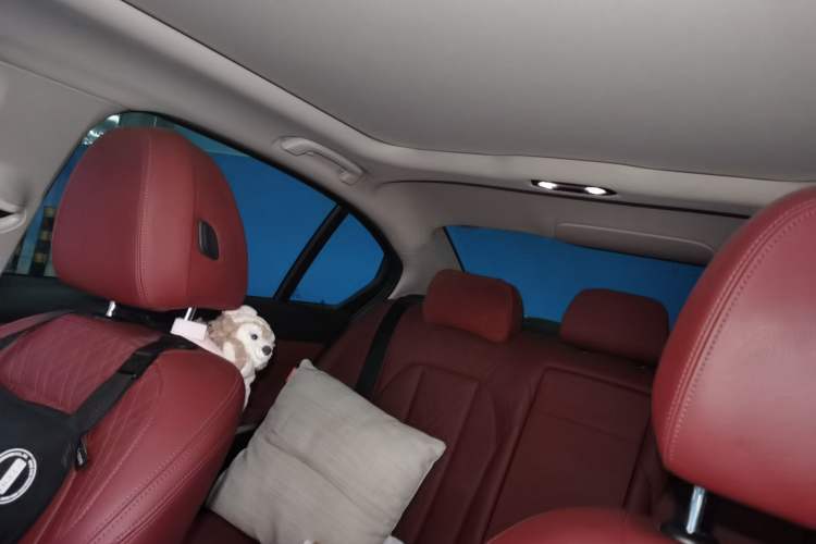 Used BMW 3 Series 2022 325Li M Sport Night Edition Package Headliner