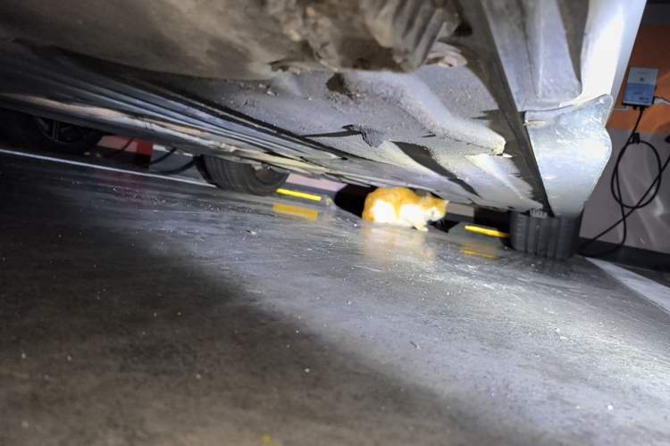 Used BMW 3 Series 2022 325i M Sport Package Chassis Front Left