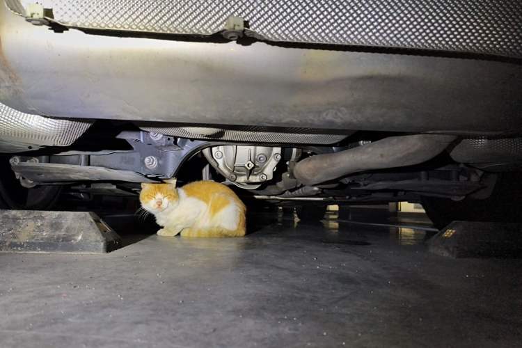 Used BMW 3 Series 2022 325i M Sport Package Chassis Rear