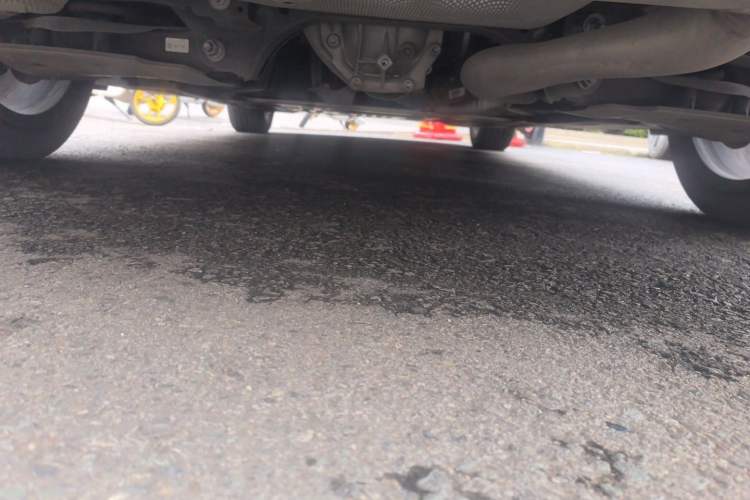 Used BMW 3 Series 2022 Updated 325i M Sport Package Chassis Rear