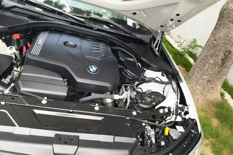 Used BMW 3 Series 2022 320Li M Sport Package Engine Bay Left