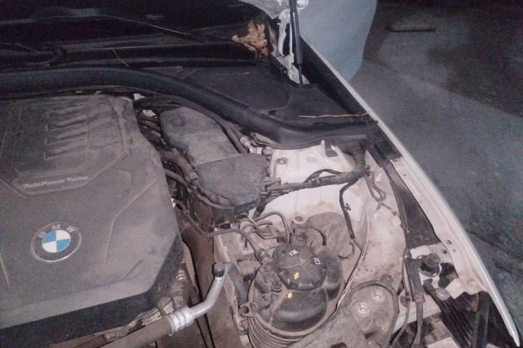 Used BMW 3 Series 2022 325i M Sport Package Engine Bay Left