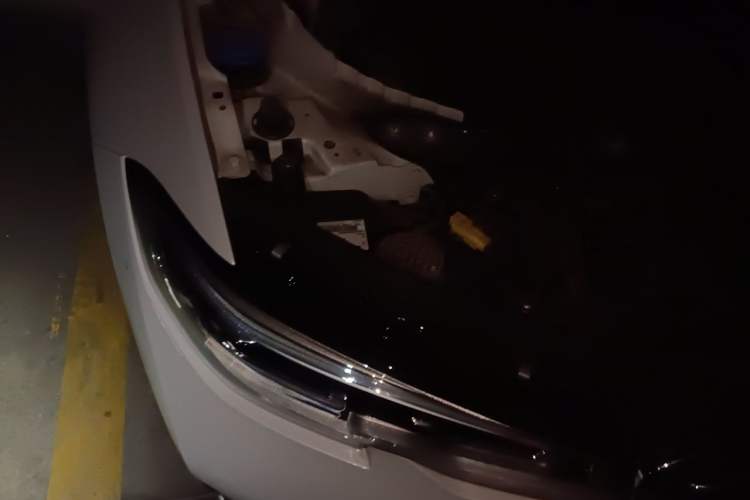 Used BMW 3 Series 2022 320i Sport Package Engine Bay Right
