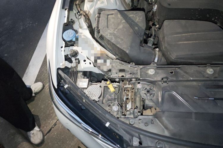 Used BMW 3 Series 2022 325Li M Sport Night Edition Package Engine Bay Right