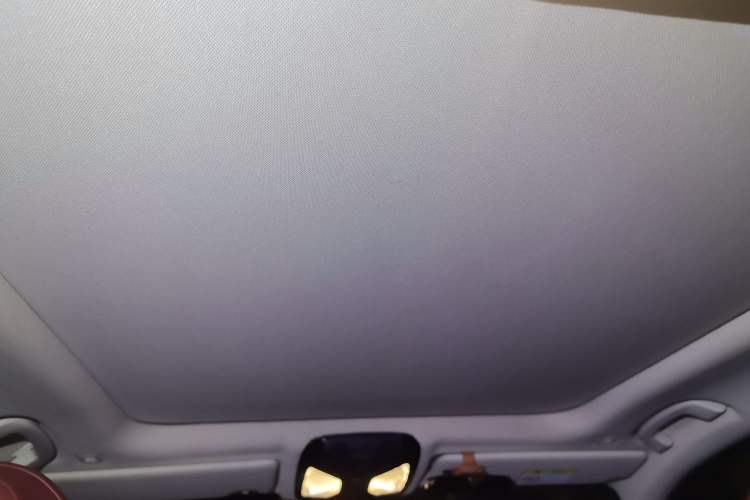 Used BMW 3 Series 2022 325Li M Sport Package Headliner