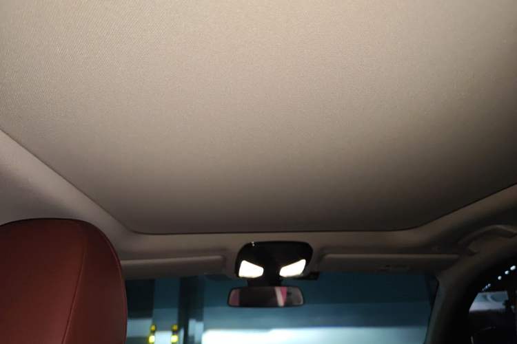 Used BMW 3 Series 2022 325Li M Sport Package Headliner
