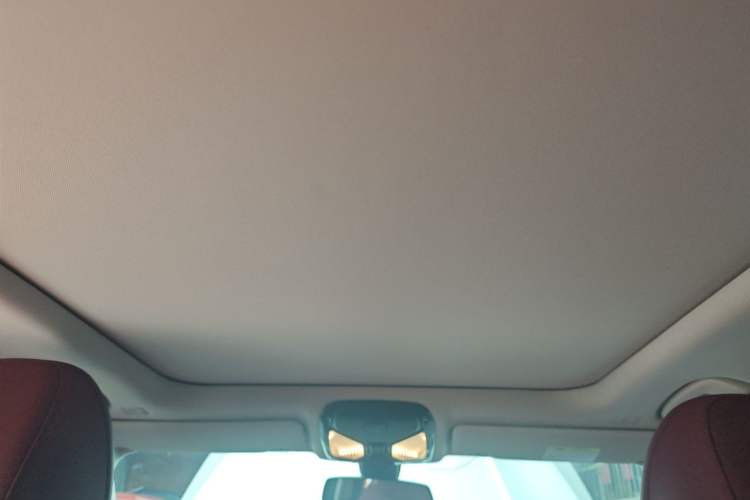 Used BMW 3 Series 2022 320Li M Sport Package Headliner