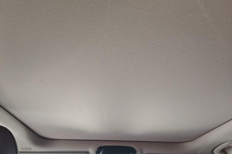 Used BMW 3 Series 2022 325Li M Sport Package Headliner