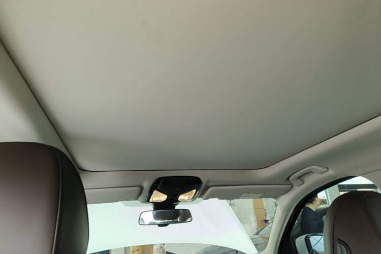 Used BMW 3 Series 2022 325Li M Sport Package Headliner