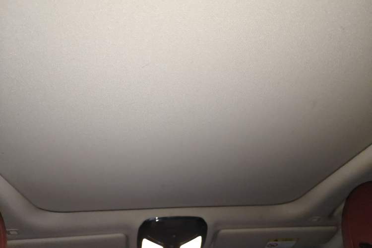Used BMW 3 Series 2022 325Li M Sport Package Headliner