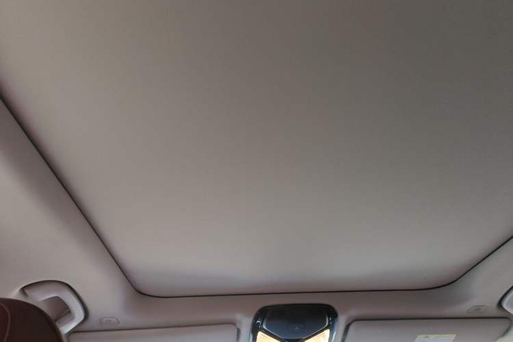 Used BMW 3 Series 2022 320Li M Sport Package Headliner