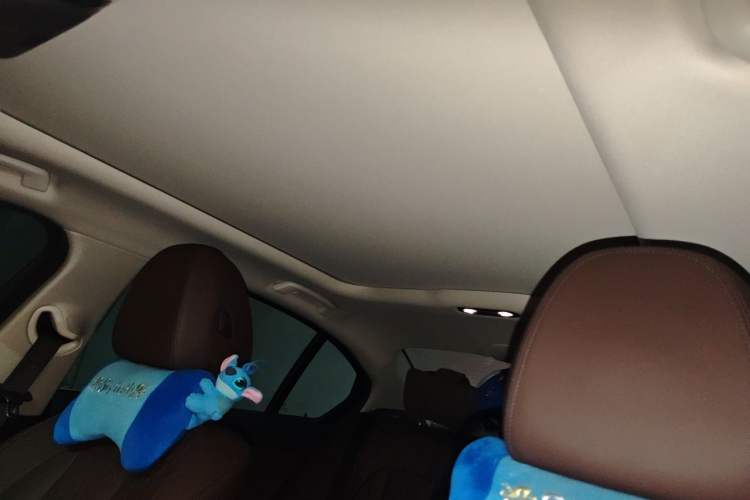 Used BMW 3 Series 2022 325Li M Sport Package Headliner